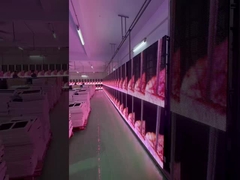 اجاره صفحه نمایش مشبک شفاف LED برای رویدادها، نمایشگر پرده شیشه ای، پنجره P3.91 تا P7.82