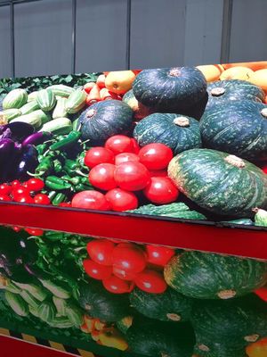 صفحه نمایش ال ای دی داخلی با پیکسل کوچک